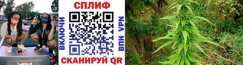 хочу Абдулино МАРИХУАНА OG Kush